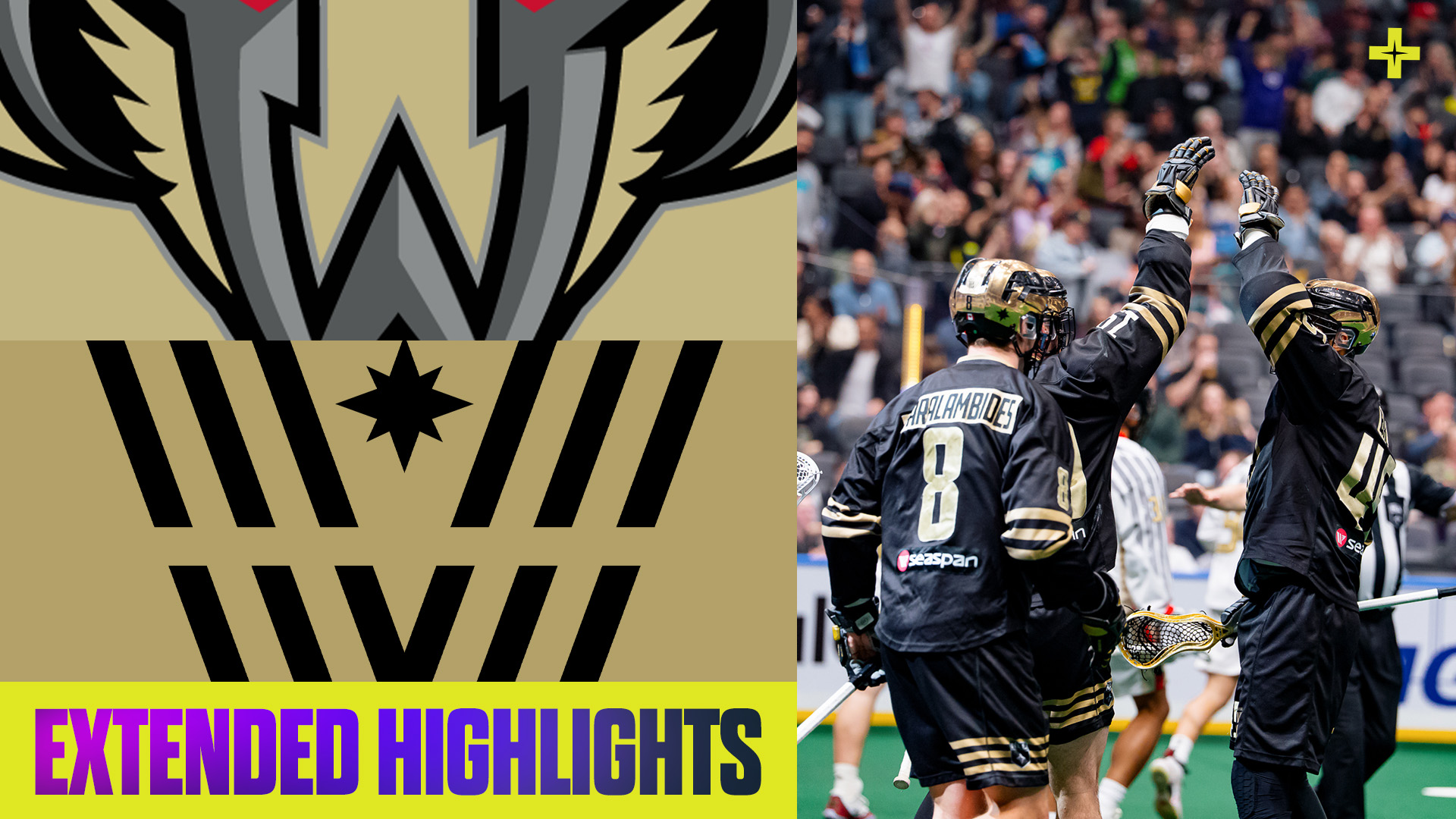 HIGHLIGHTS